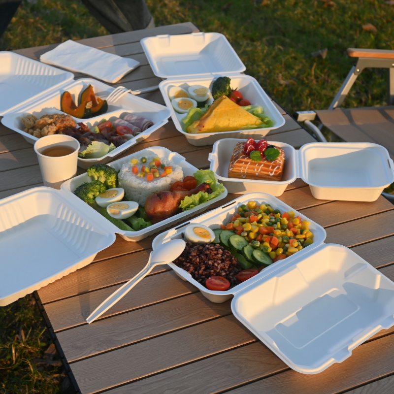 bagasse paket yemək qutuları