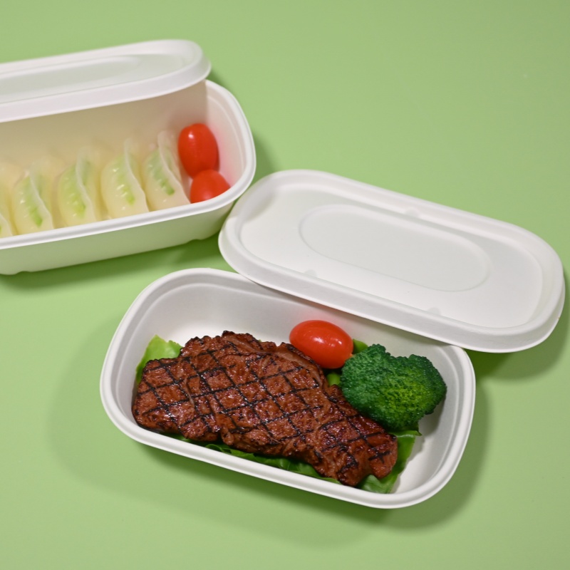 biodegradable takeaway food container