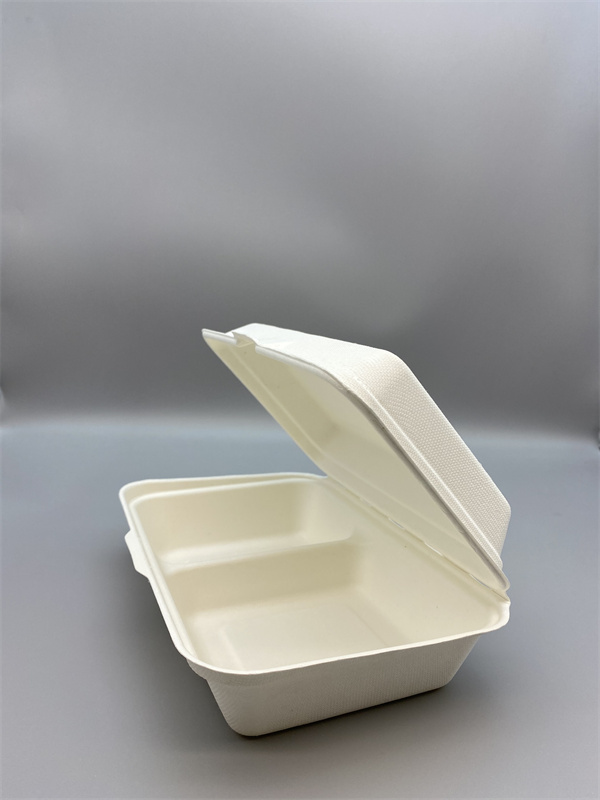 Bagasse-1000ml-clamshell-with-2-compartments-3