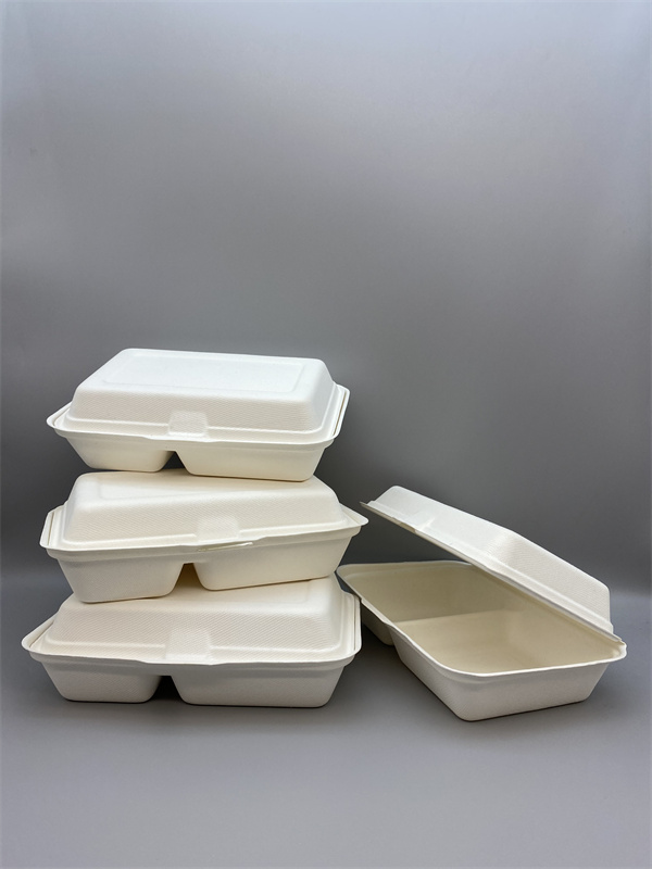 Bagasse-1000ml-clamshell-with-2-compartments-5