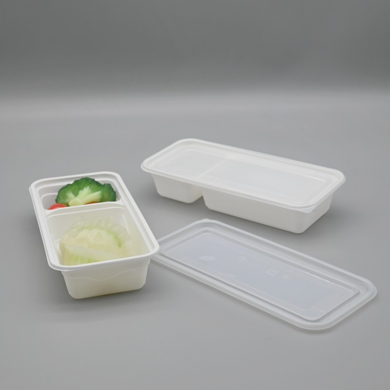 PLA-2-C-rectangle-food-box-11