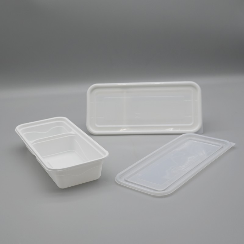 PLA 2-C rectangle food box (2)