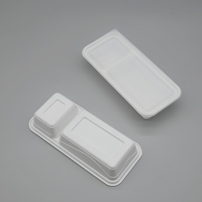 PLA 2-C rectangle food box 2