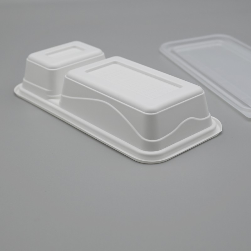 PLA 2-C rectangle food box 3