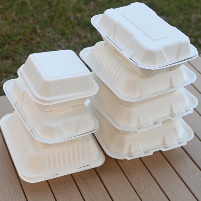 biodegradable bagasse containers