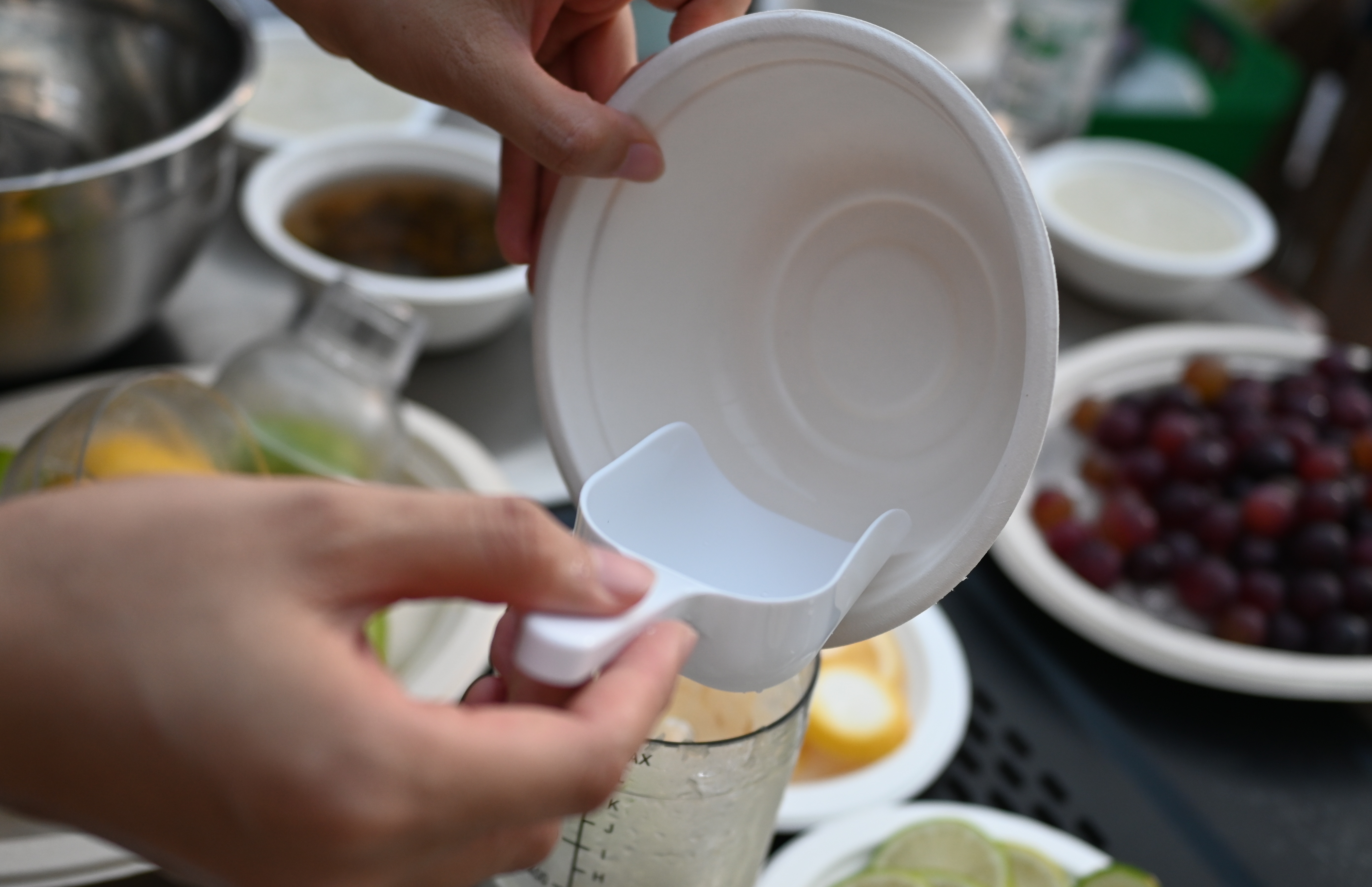 biodegradable tableware