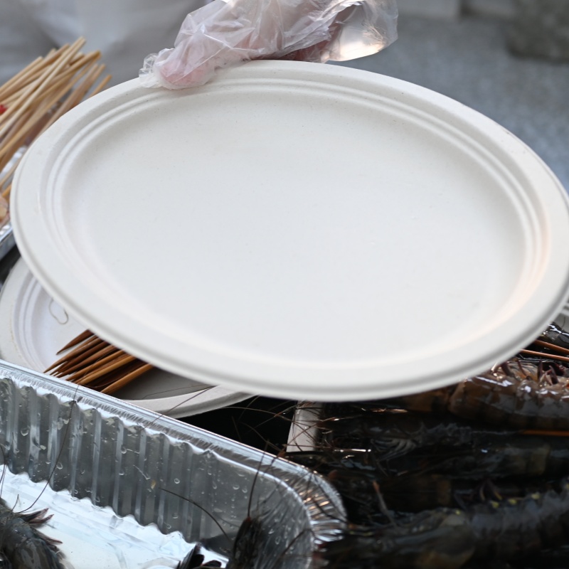 disposable compostable plates