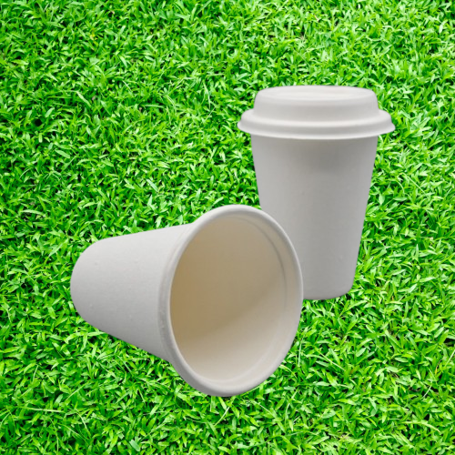 sugarcane fiber cup