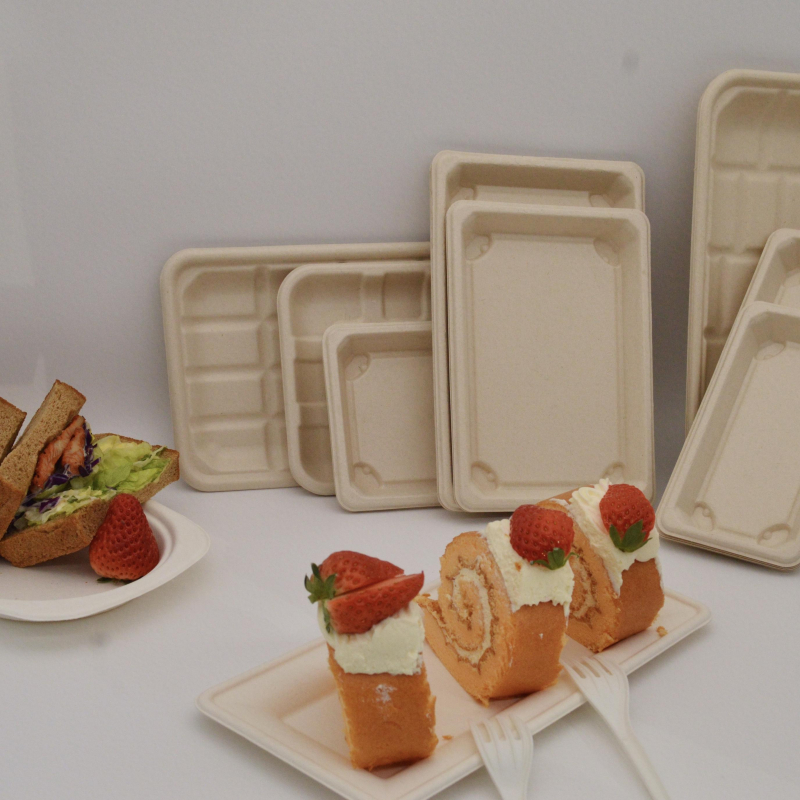 sugarcane food trays